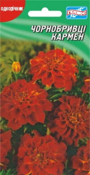 Чорнобривці Кармен 50 шт (401228)