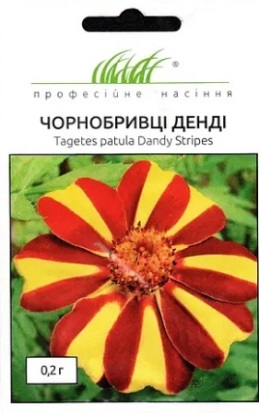 Чорнобривці розлогі Денді 0,2 г (465608)