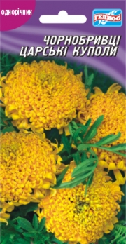 Чорнобривці Царські куполи 30 шт (401234)