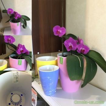 Вазон самозволожуючий зі вставкою Глянець 18 блакитний