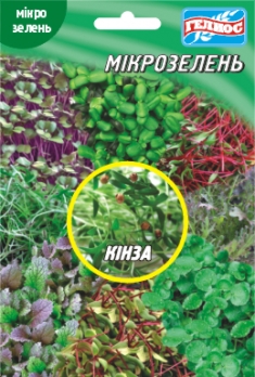 Кінза для мікрозелені 20 г (890011)