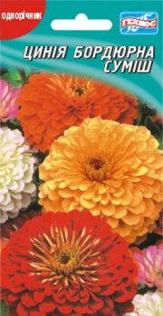 Цинія Бордюрна суміш 30 шт (401452)