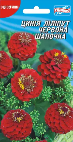 Цинія червона шапочка 30 нас (401488)