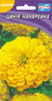 Цинія Канарейка 30 шт (401458)