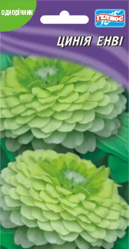Цинія Енві, біло-зелена 30 шт (401467)