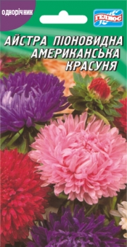 Айстра Американська красуня 100 шт (421611)