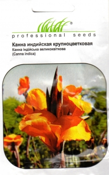 Канна індійська великоквіткова багаторічна 5шт (465577)
