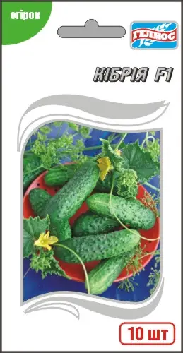 Огірки Кібрія Голандія 10шт (780421)