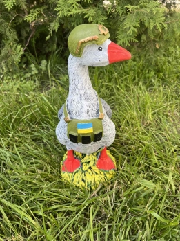 Ландшафт Гусь бойовий (9103)