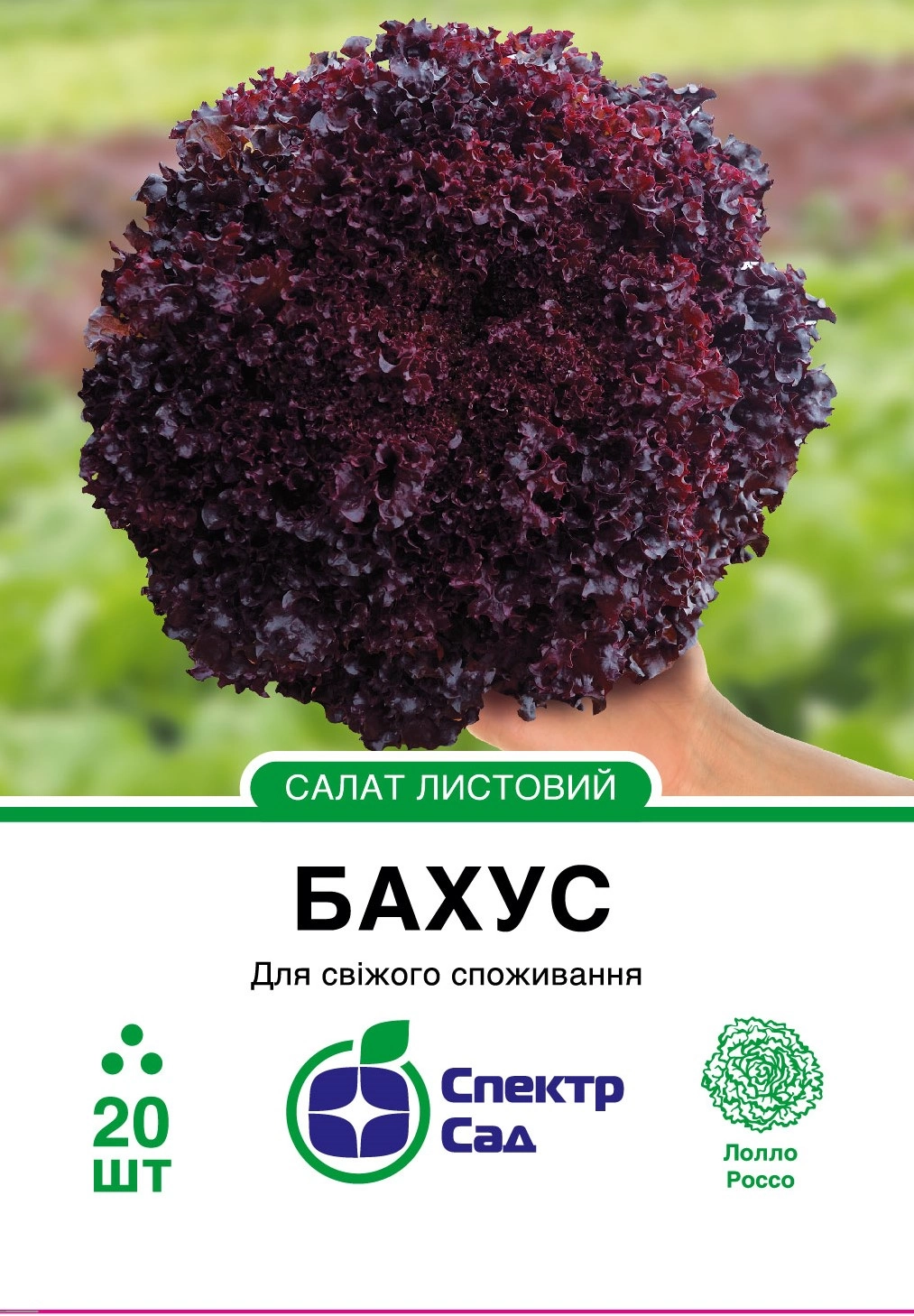 Салат Бахус 20 шт Спектр Сад (Нідерланди)