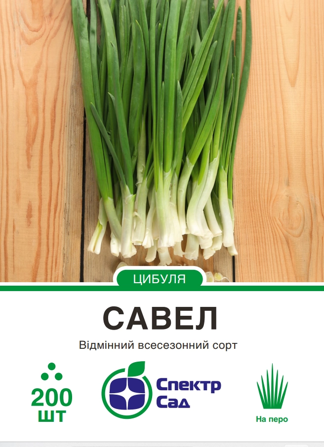 Цибуля Савел 200 шт Спектр Сад (Hazera, Нідерланди)