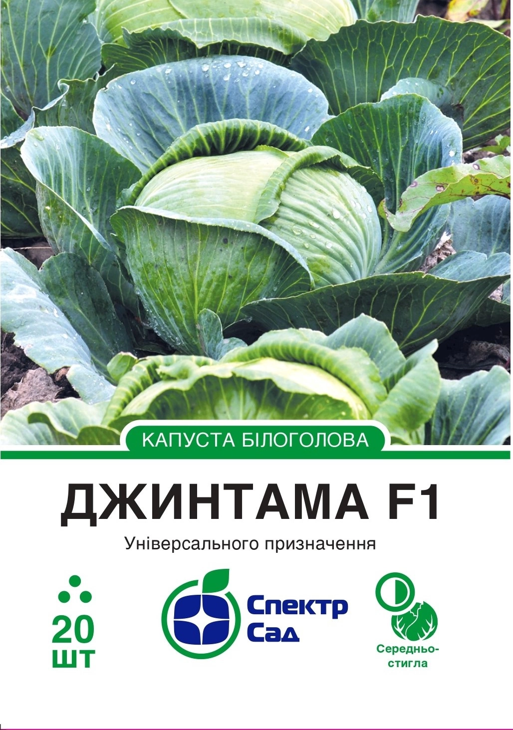 Капуста білоголова Джинтама 20 шт Спектр Сад (Нідерланди)