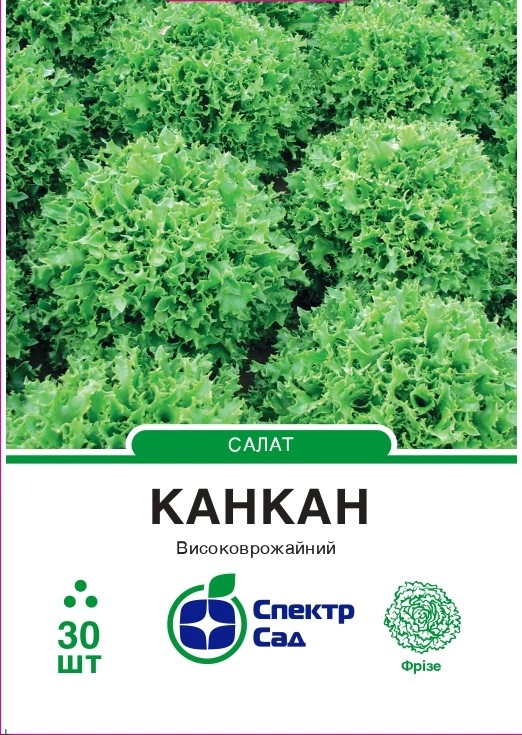 Салат Канкан 30 шт Спектр Сад (Нідерланди)