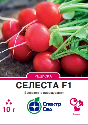 Редиска Селеста 10 г Спектр Сад (Нідерланди)