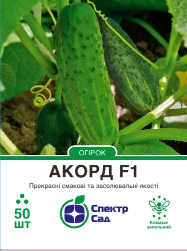 Огірок Акорд 50 шт Спектр Сад (Нідерланди)