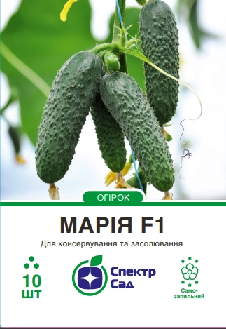 Огірок Марія 10 шт Спектр Сад (Нідерланди)
