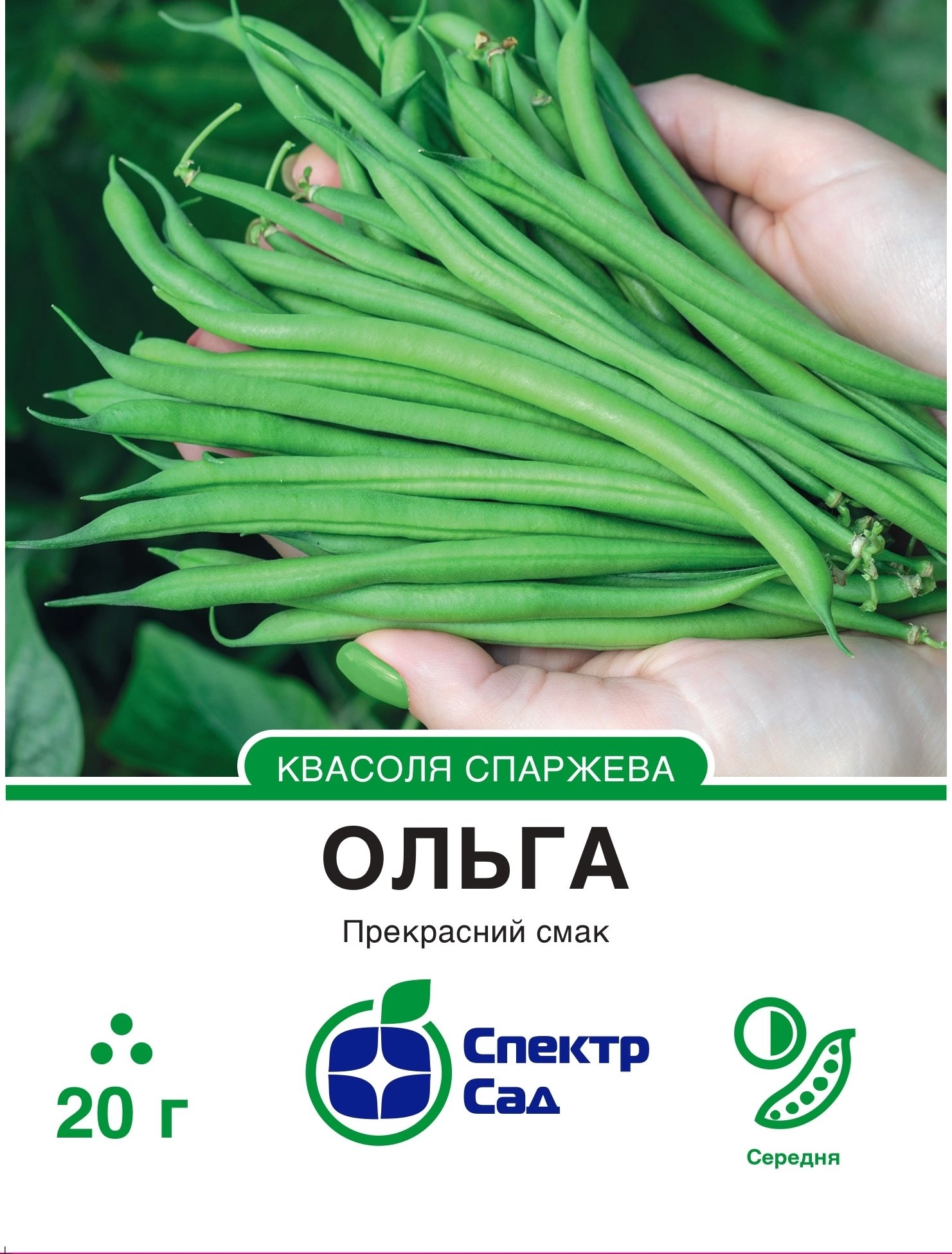 Квасоля спаржева Ольга 20 г Спектр Сад (Німеччина)