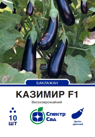 Баклажан Казимир 10 шт Спектр Сад (Франція)