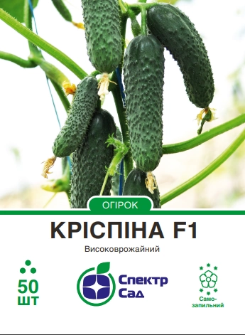 Огірок Кріспіна 10 шт Спектр Сад (Нідерланди)