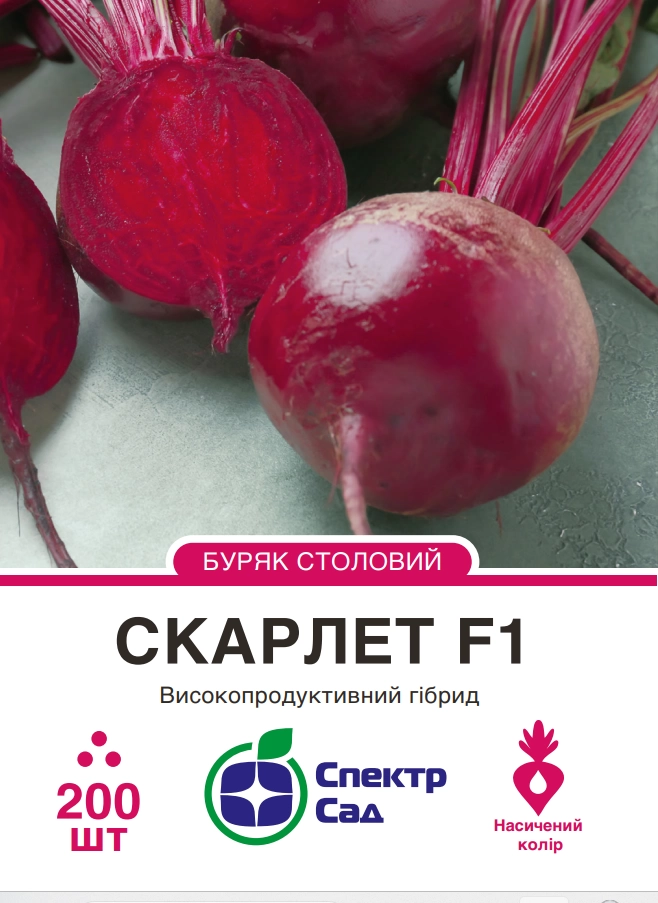 Буряк столовий Скарлет 200 шт Спектр Сад (Нідерланди)