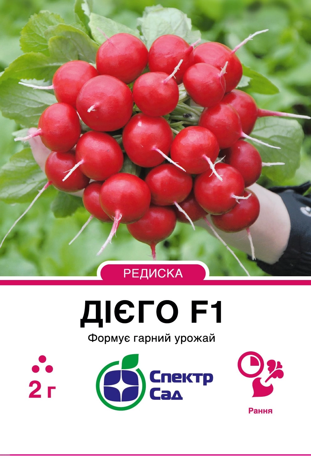 Редиска Дієго 2 г Спектр Сад (Нідерланди)