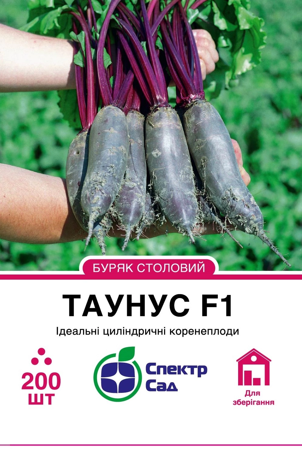 Буряк столовий Таунус 200 шт Спектр Сад (Нідерланди)