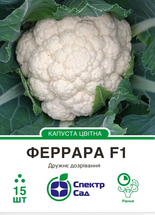 Капуста цвітна Феррара 15 шт Спектр Сад (Нідерланди)