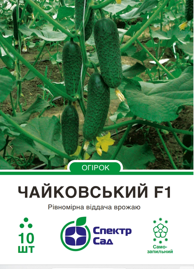 Огірок Чайковскький 10 шт Спектр Сад (Нідерланди)