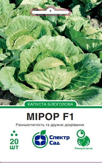 Капуста білоголова Мірор 20 шт Спектр Сад (Нідерланди)