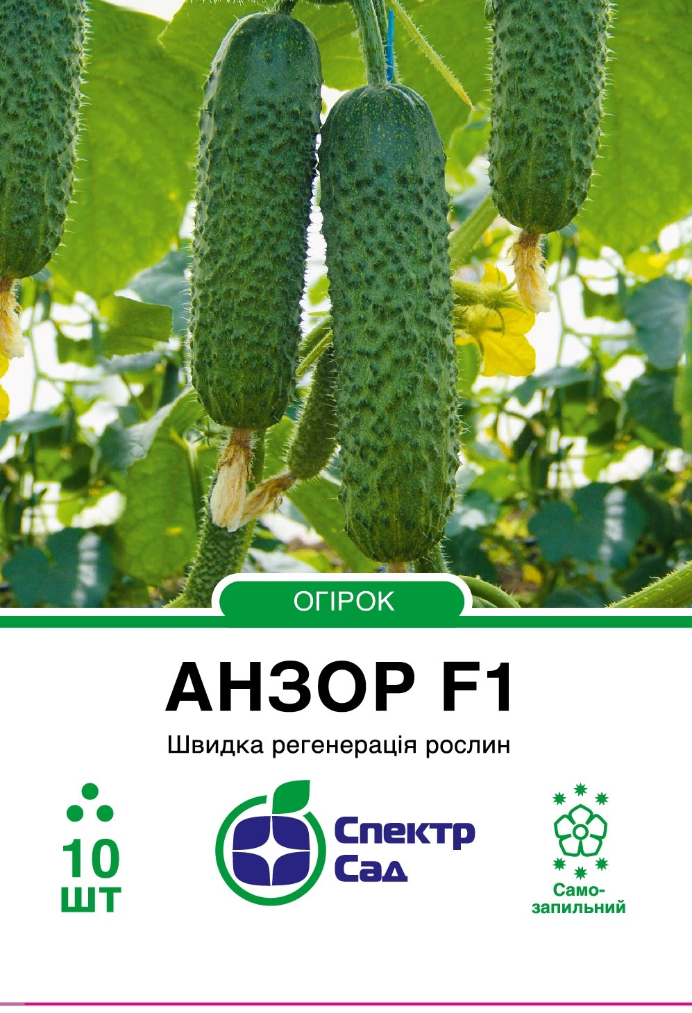 Огірок Анзор 10 шт  Спектр Сад (Ндерланди)