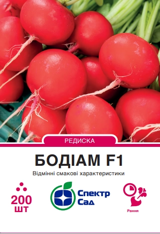 Редиска Бодіам 200 шт Спектр Сад (Нідерланди)