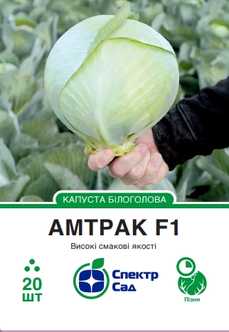 Капуста білоголова Амтрак 20 шт Спектр Сад (Нідерланди)