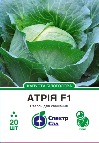 Капуста білоголова Атрія 20 шт Спектр Сад (Нідерланди)