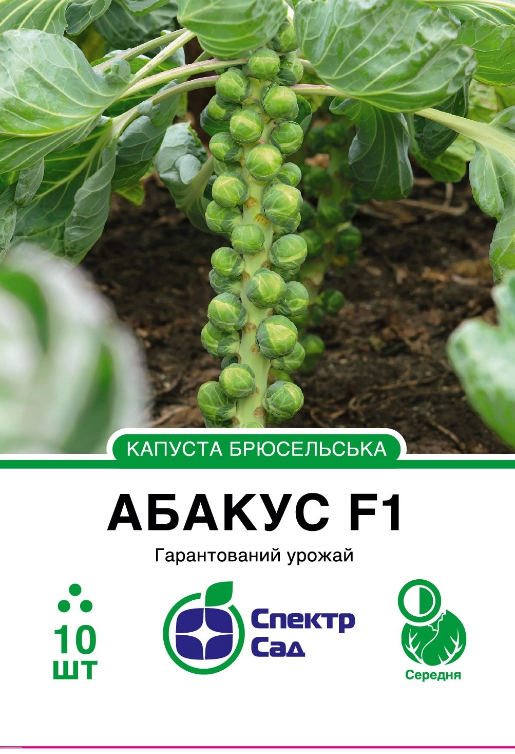 Капуста брюсельська Абакус 10 шт Спектр Сад (Нідерланди)