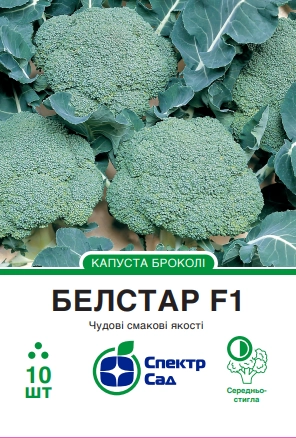 Капуста броколі Белстар 15 шт Спектр Сад (Нідерланди)
