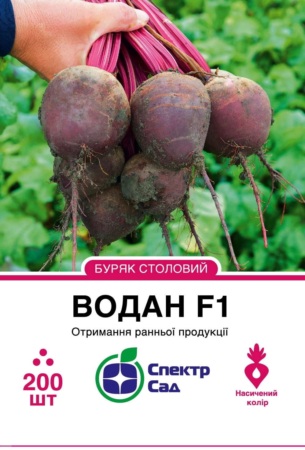 Буряк столовий Водан 200 шт Спектр Сад (Нідерланди)