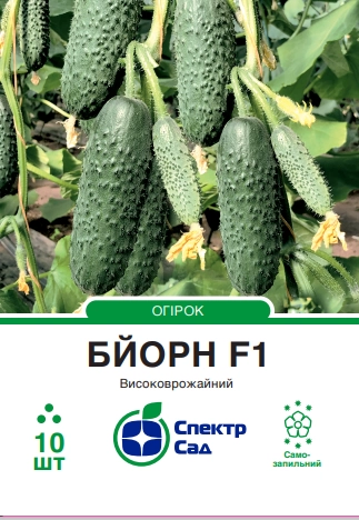 Огірок Бйорн 10 шт Спектр Сад (Нідерланди)