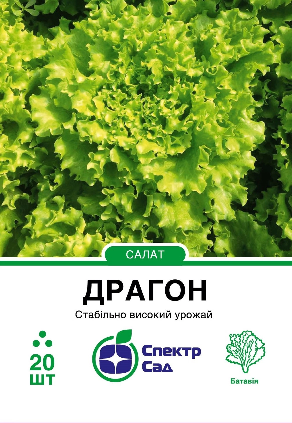 Салат Драгон 20 шт Спектр Сад (Нідерланди)