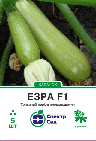 Кабачок Езра 5 шт Спектр Сад (Нідерланди)