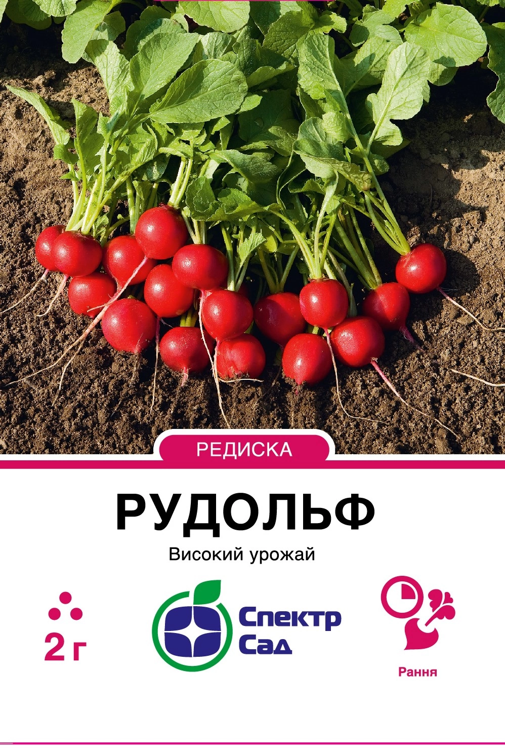 Редиска Рудольф 2 г Спектр Сад (Нідерланди)