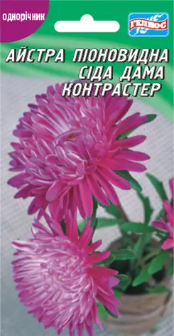 Айстра Сєдая дама контрастер 100 шт (421616)