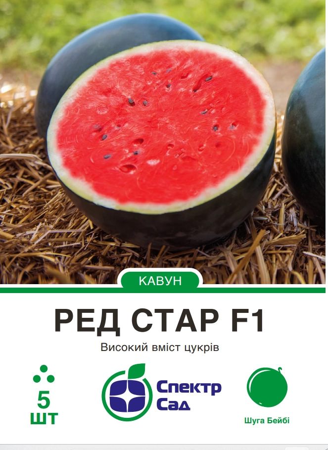 Кавун Ред Стар, тип шуга бейбі, 5 шт Спектр Сад (Нідерланди)