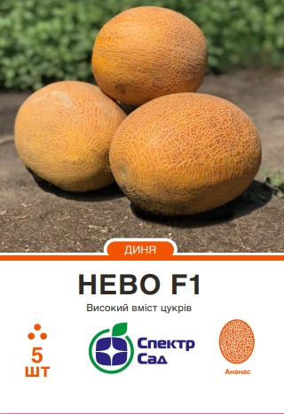 Диня Нево, тип ананас, 5 шт Спектр Сад (Нідерланди)