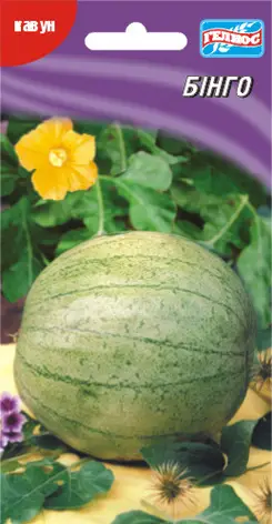 Кавун Бінго 20 шт (250601)
