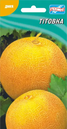 Диня Тітовка 30 шт (260645)