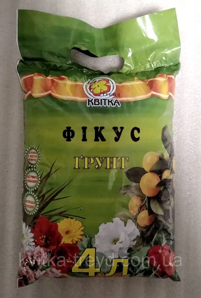 Квітка Трейд Фікус 4 л